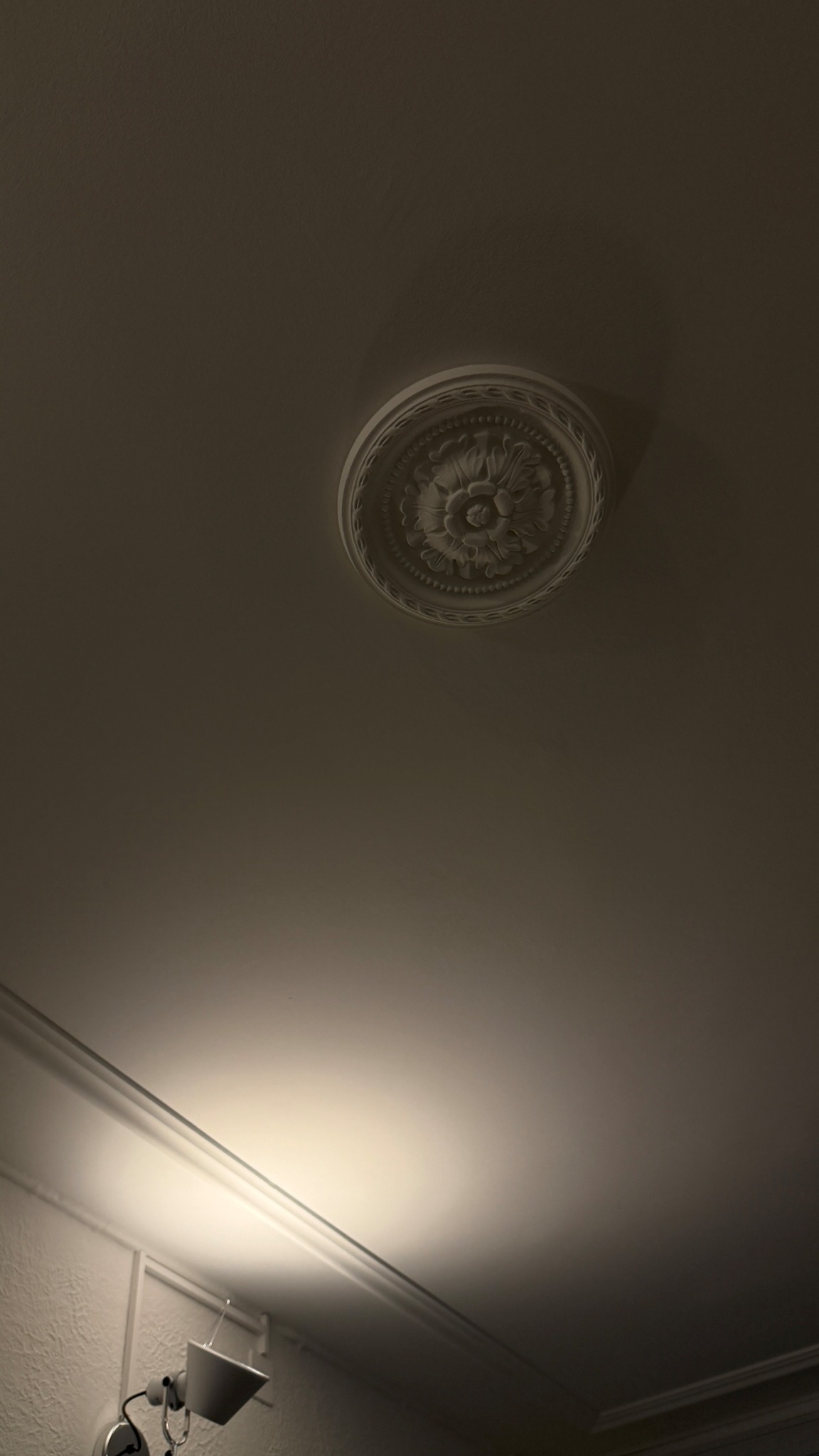 Stuckrosette und Deckenprofile im Licht